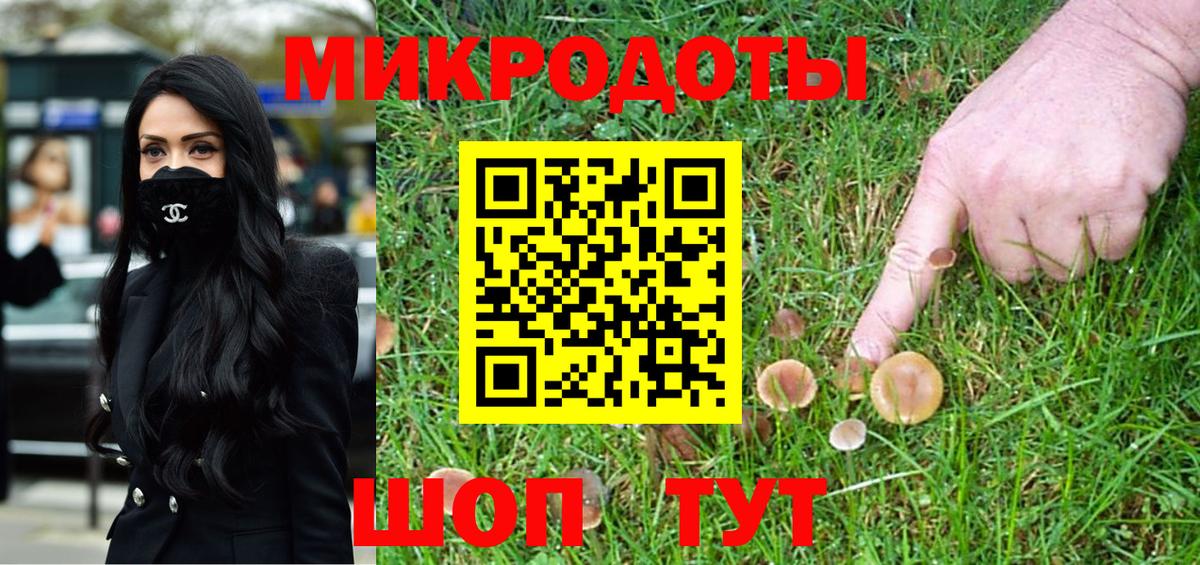 Саров  Галлюциногенные грибы Psilocybine cubensis  Вход с VPN  Галлюциногенные грибы мухоморы 